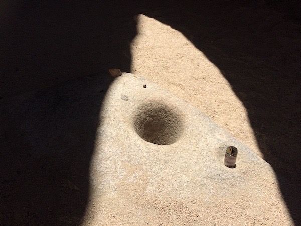 The cup is filled with light